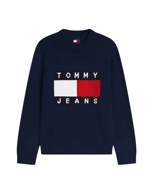 Maglioncino in cotone con logo Tommy Jeans | DM0DM23413C1G